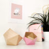Boites Origami Leewalia - Erable et rose 5