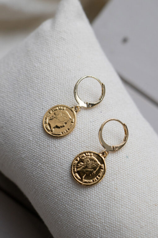 Golden coin earrings 1